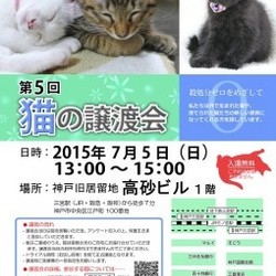 「7/5(日)神戸市内２ヶ所で譲渡会♪」サムネイル3