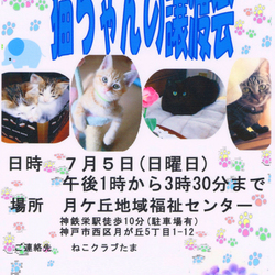 「7/5(日)神戸市内２ヶ所で譲渡会♪」サムネイル2