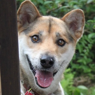 真ん丸お目々も性格もキュートな男子です♡