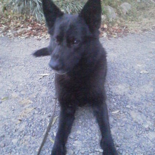 ありがとうございました！