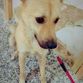 里親様決まりました。