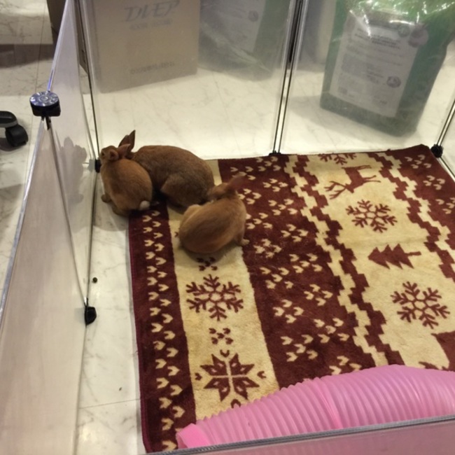 ひがし かずひろのカバー写真