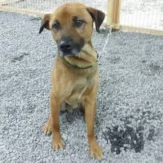 トライアルになりました。有り難うございます