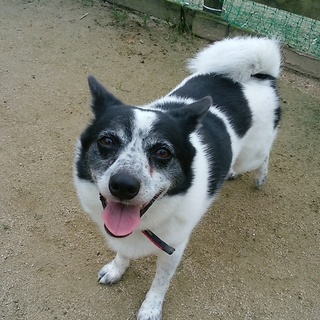 陽気な女子♪しずくちゃんの家族募集中♪