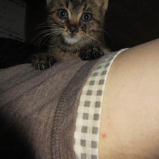 ありがとうございました