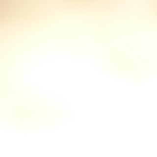 アヒル  若ヒナ  緊急