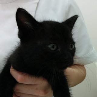 元気な仲良し兄妹です！！