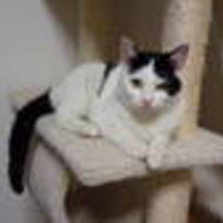 抱っこが大好きな女の子