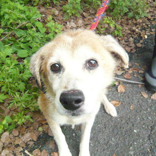 譲渡されました！！