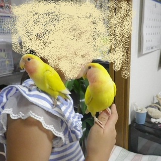 素敵な里親様が決まりました。沢山のご応募感謝します