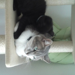 「次郎：２０日目（７月８日）」サムネイル2