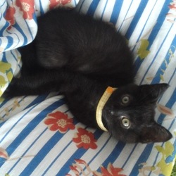 「次郎：２０日目（７月８日）」サムネイル3