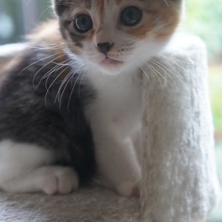 それぞれ素晴らしい出会いがありました。