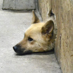 トーイが開けた穴から・・・