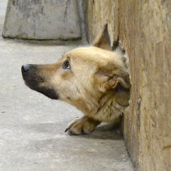 「トーイが開けた穴から・・・」サムネイル2