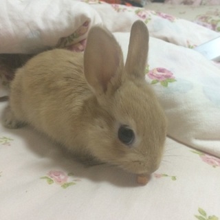 沢山のご応募ありがとうございました！