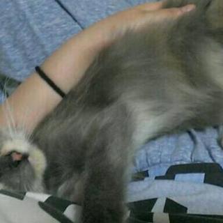 里親様が決まりました☆