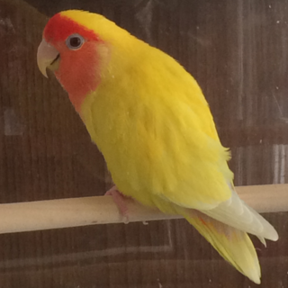 良いご縁をいただきありがとうございます。