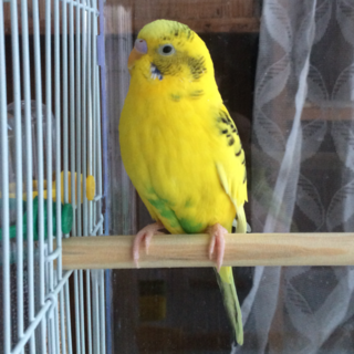 良いご縁をいただきありがとうございます。