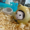 の写真