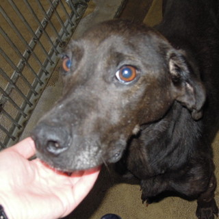 譲渡されました！！