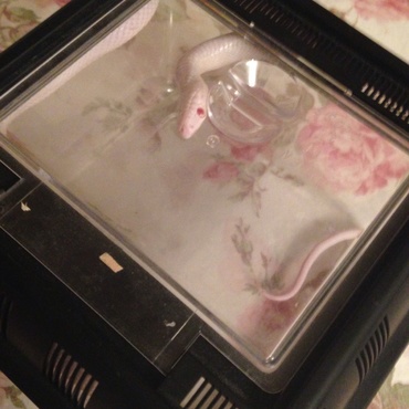 お掃除中につき！