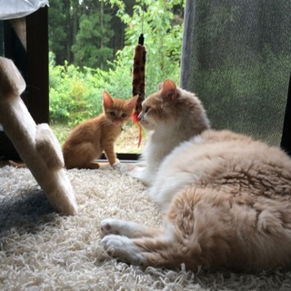 良縁に恵まれました！有難うございました！