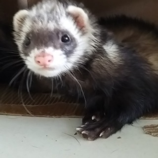 決まりました！