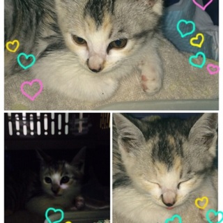 可愛がってくださいm(__)m