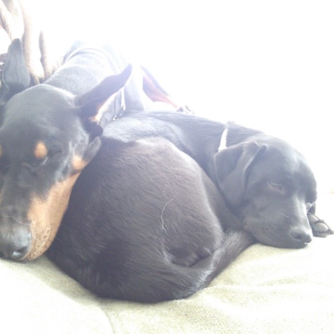 ゆずわさびのカバー写真