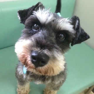 お茶目で甘えたな男の子♪