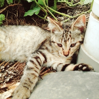 5姉弟の男の子です！