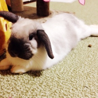 有り難う御座いました。