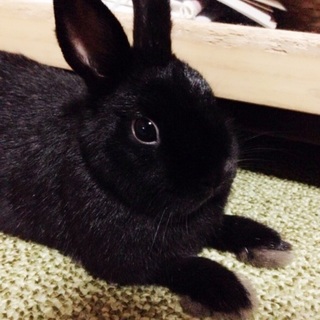 ありがとうございました。