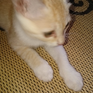 愛してあげてください。