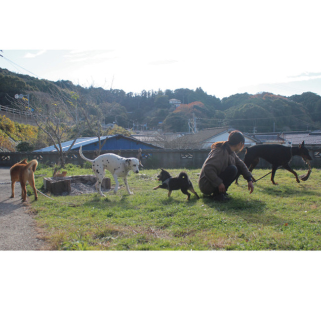 ドーベルウーマンのカバー写真