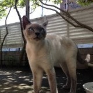 顔は怖いけれど、とっても優しい子です