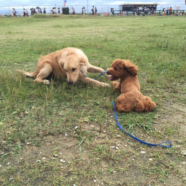 みすたーのカバー写真
