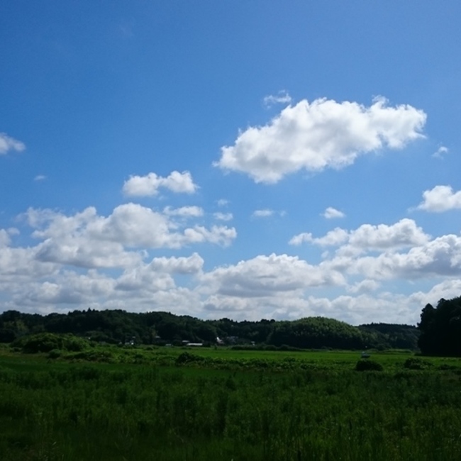 まさひこ家のカバー写真