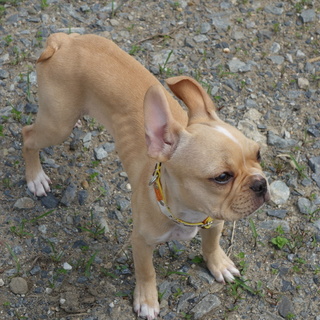 優しいご家族に迎えて頂きました