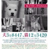 smilewan〜保護犬を...(保護活動者)