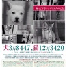 smilewan〜保護犬を家族に〜