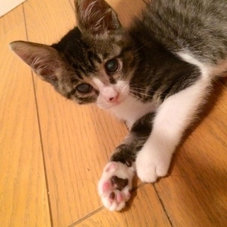 ありがとうございました。