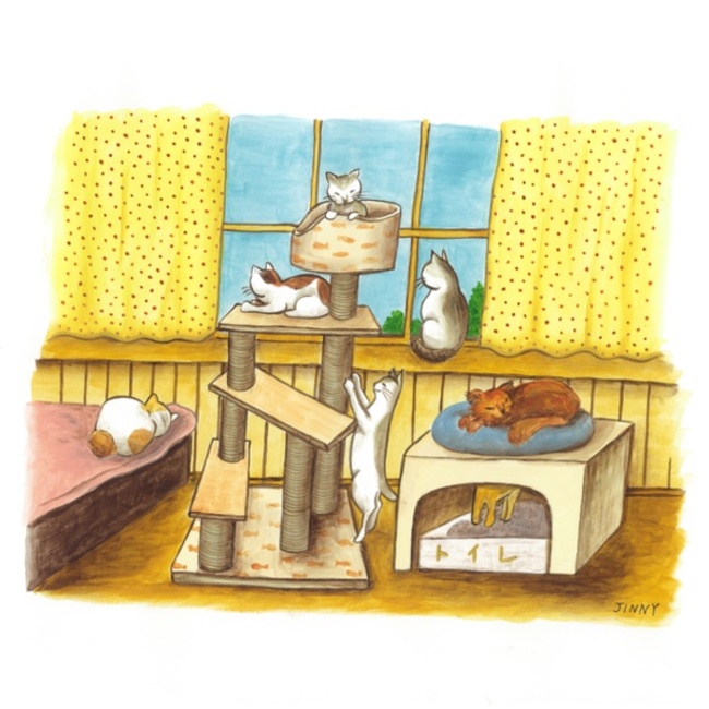 猫糸舎　TAMAのカバー写真