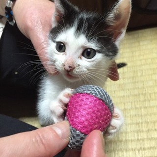 ありがとうございました！