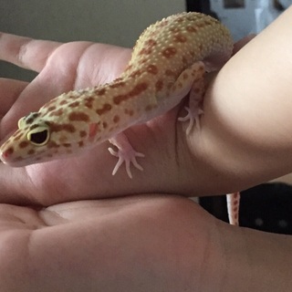 ありがとうございました！