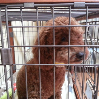 沢山の応募、本当にありがとうございました。