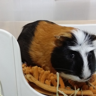 ありがとうございました！