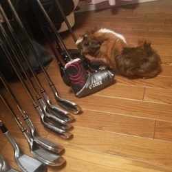 あーあーあー…