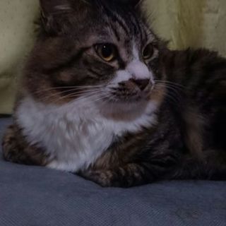 ビビり だけど 本当は甘えん坊